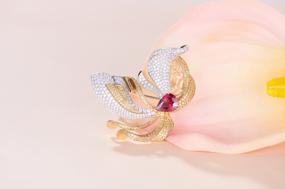 珠寶首飾海報(bào)拍攝