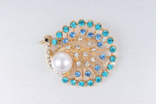 15元的胸針和發(fā)夾 珠寶首飾靜物類(lèi)攝影 練習(xí)圖 無(wú)修