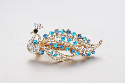 15元的胸針和發(fā)夾 珠寶首飾靜物類攝影 練習(xí)圖 無修